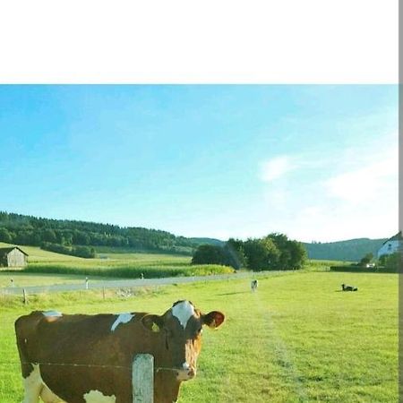 4 Erw. 1 Ki. Ski Entspannung Terasse Ausblick Schmallenberg Zewnętrze zdjęcie